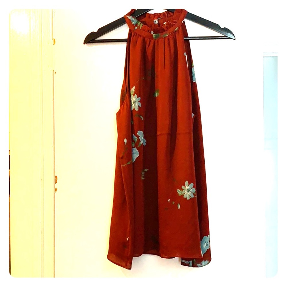 Joie Silk Tunic